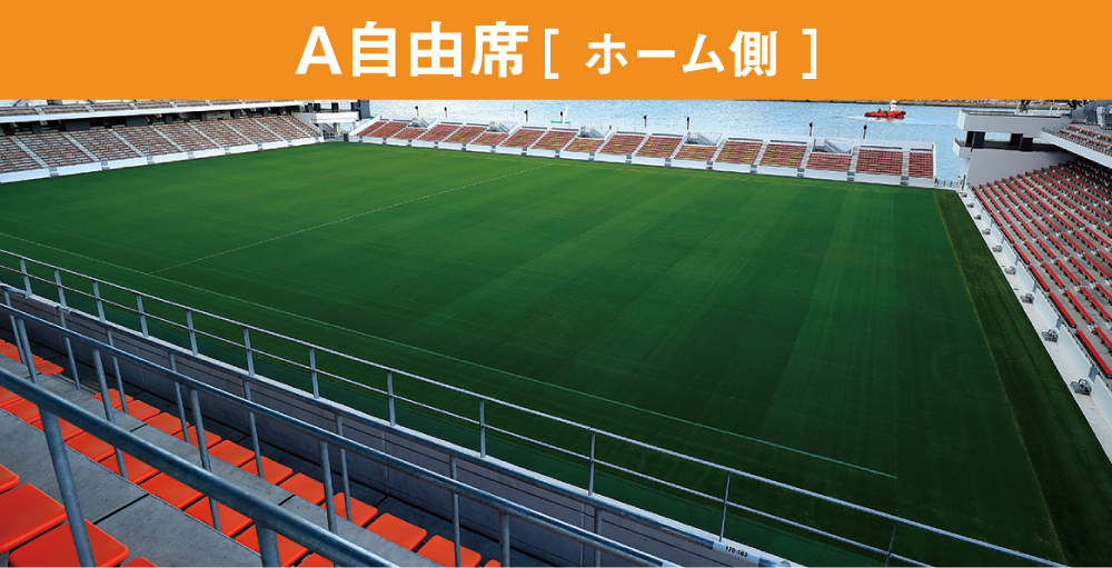 B自由席バックスタンド