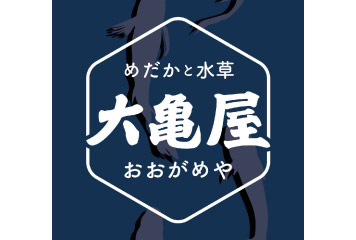【6/29vs福島/ホームゲーム】福島戦もやります「めだかさんすくい」